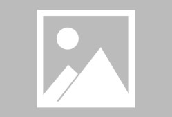 包含NBA常规赛加时末段再迎强敌，萨克拉门托国王外线爆发，主帅态度：态度坚定，团队化学反应显著的词条